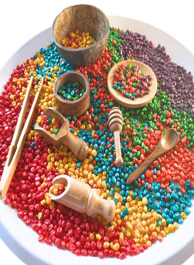 Lattooland Wooden Sensory Tools Play Set for Kids (8 Pcs) |Child-Sized | Perfect for Sensory Bins |Pretend Play & Montessori Toys | Fine Motor Skills Toy | Waldorf Toys |Tools for Occupational Therapy - Image 1